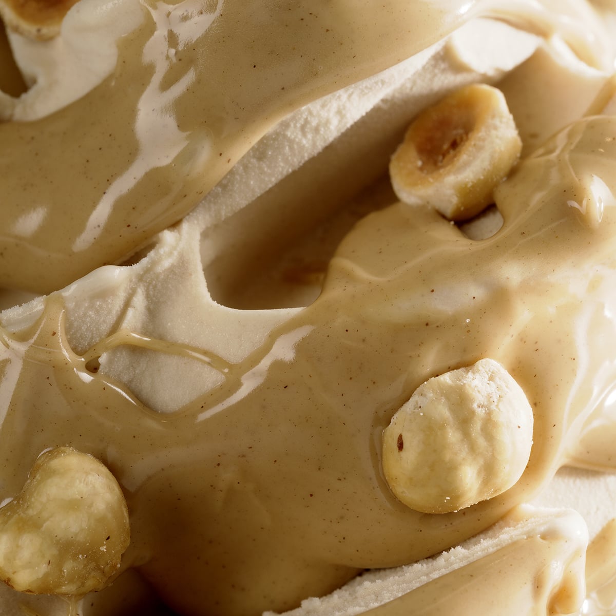 Joygelato - JOYCREAM NOCCIOLATA BIANCA